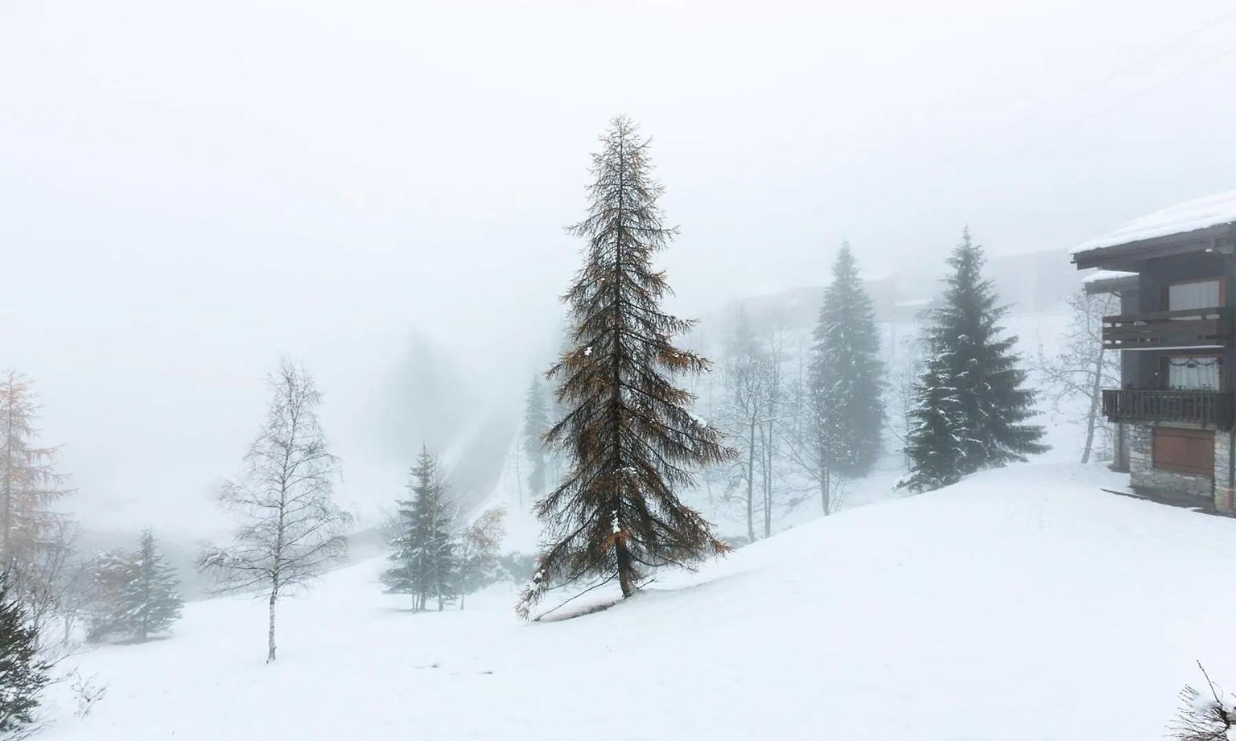 Residence Jardins D'Hiver G - Jardins D'Hiver 10 Mae-6801 ヴァルモレル 0*,  フランス